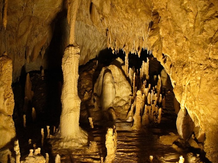 Pestera Ursilor Bihor