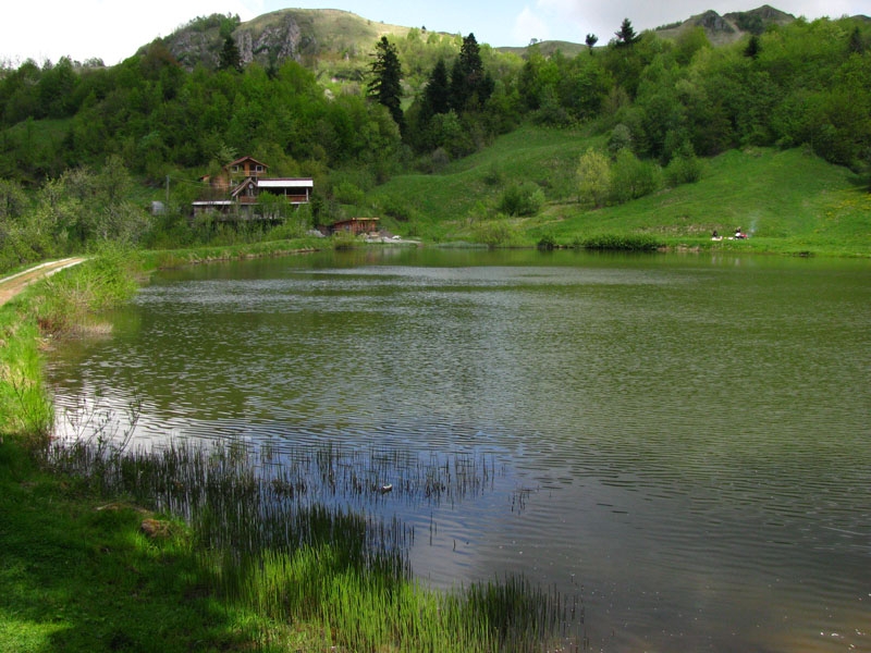 Taul Brazi